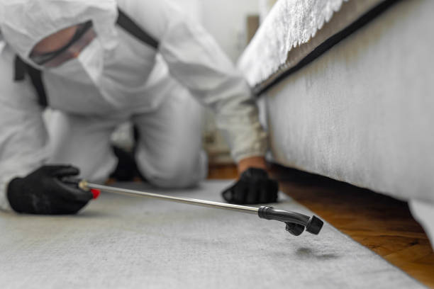Professional Bed Bug Control technician working in Oakville, MO